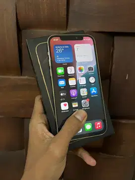 iPhone 12 Pro 256GB Gold Resmi iBox