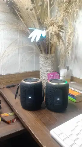 Speaker Bluetooth EGGLE TERRA 3 NEO