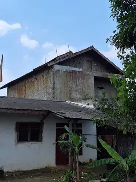 Kesempatan Emas! Jual Rumah Walet Siap Panen di Parung Bogor!