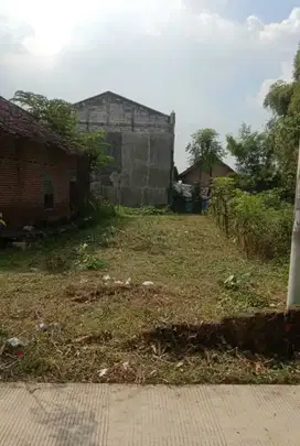 Tanah Kampung Murah siap Bangun di Kalipuro, Pungging, Mojokerto