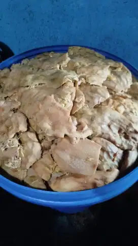 JUAL KULIT MANDAI