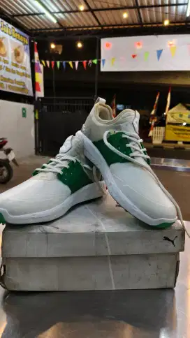 Puma Ignite green sepatu sneakers