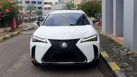 Lexus UX200 UX 200 F-Sport F Sport AT White on Black NIK 2019 KM24rb