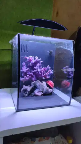 Aquarium air laut / Akuarium air tawar Aqua one