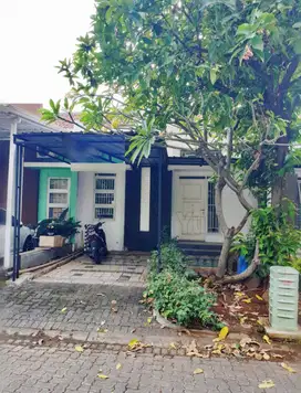 Dijual Rumah Di Perumahan Graha Padma, Semarang