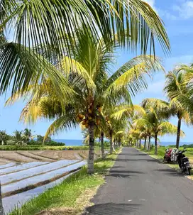 Tanah Zona Pink 400 meter dari Pantai Kelecung Bali