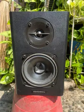Kurzweil ks40 flat speaker monitor
