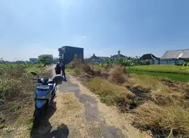 Tanah dekat kampus UIN kartosuro