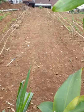 Dijual tanah di Salatiga