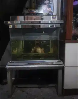 aquarium ukuran lebar 50 cm -+ tinggi 30cm -+