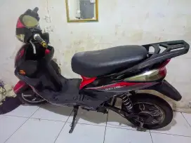Selis elang mirip motor