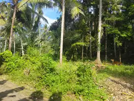 Tanah View Alam Ubud Bisa Ambil 600m2