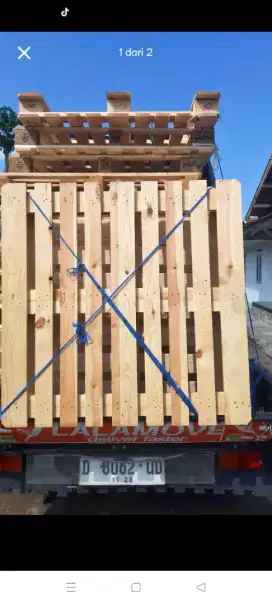 Palet/Multi jatilanda