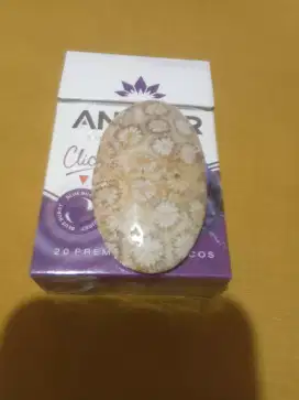 Batu teratai jumbo
