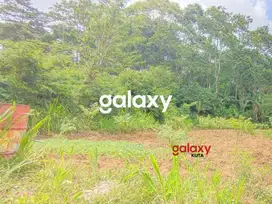 DIJUAL TANAH BATURITI BEDUGUL TABANAN, BALI
