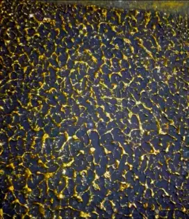 CAT TEXTURE PAINT / TEKSTUR KAMPROT