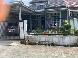 Rumah di sewakan