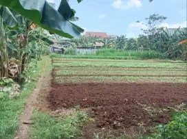 tanah murah pondok aren blkg UHAMKA