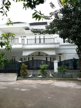 Rumah Luas Ada Kolam Renang Di Bintaro 8032