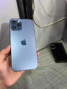 Iphone 12 Promax 256gb Pacific Blue, Ori Mulus
