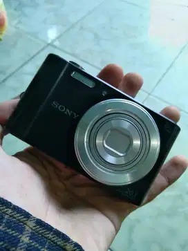 sony cybershot dsc-w810