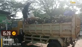Jasa buang puing murah sampah kayu dan jual urugan
