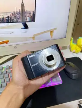 sony cybershot DSC-W810