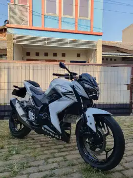 KAWASAKI Z250 FI WHITE EDITION ( 2 SLINDER)