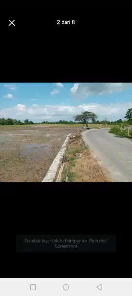 Tanah sawah super produktif