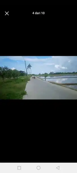 Tanah sawah 4 hektar produkdif pinggir jalan besar