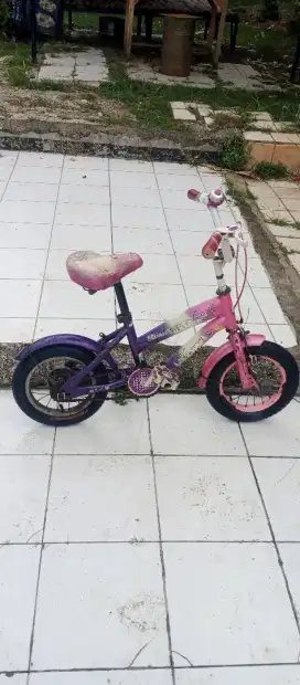Sepeda Anak mini