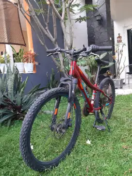 Jual Cepat Sepeda MTB Polygon Relic Alloy Ukuran 24