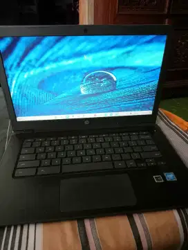 HP Chromebook  laptop
