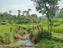 Jual tanah pinggir jalan dekat sungai Ciwidey
