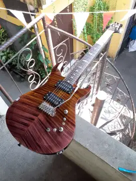 PRS SE Custom 24