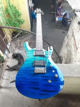 PRS SE Custom 24