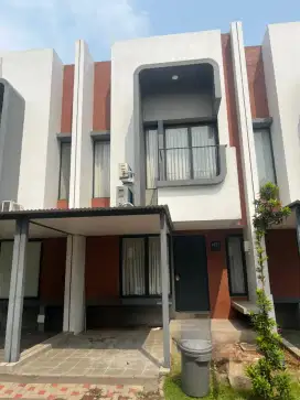 Disewakan Rumah BSD Cluster Freja Chic