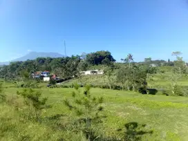 Jual tanah shm di puncak cisarua bogor