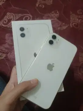 IPHONE WHITE 11 64 IBOX