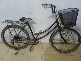 Sepeda mini dewasa