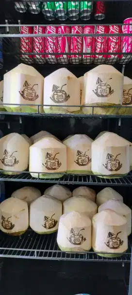 UMKM Kelapa madu