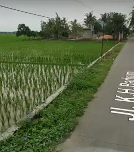 Tanah sawah Murah SHM Produmtif pinggir jalan
