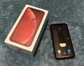 Iphone XR 256gb ex inter ( bisa tuker tambah )