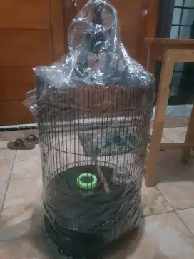 Jual sangkar besi jumbo import merek panda muluss