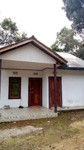 Tanah darat(kebun)