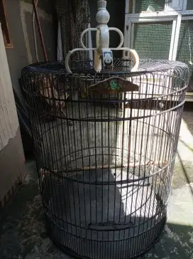 Jual kandang murai