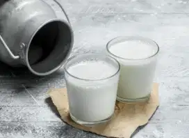 SUSU KAMBING MURNI BANG NANA