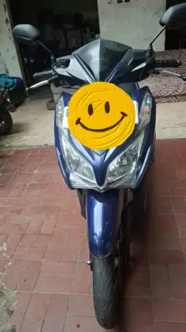 Vario THN 2013 iss