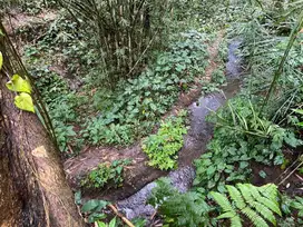Di jual tanah 308m2 ,ubud