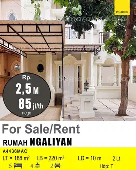 DIJUAL DAN DISEWAKAN RUMAH DI NGALIYAN A4436